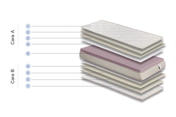 estrella componentes